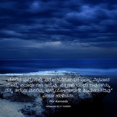 Picture 03 - ಆದಿಕಾಂಡ 40:17 KANIRV - ಮೇಲಿನ ಪುಟ್ಟಿಯಲ್ಲಿ - Bible Verse Picture