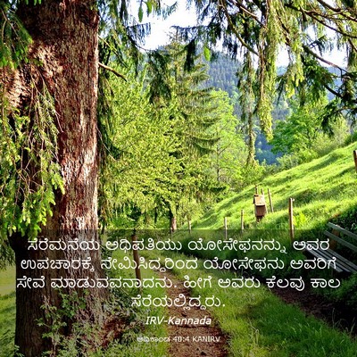 Picture 03 - ಆದಿಕಾಂಡ 40:4 KANIRV - ಸೆರೆಮನೆಯ ಅಧಿಪತಿಯು - Bible Verse Picture