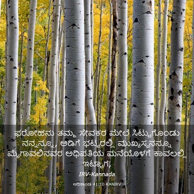 Picture 03 - ಆದಿಕಾಂಡ 41:10 KANIRV - ಫರೋಹನು ತಮ್ಮ ಸೇವಕರ - Bible Verse Picture