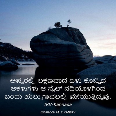 Picture 03 - ಆದಿಕಾಂಡ 41:2 KANIRV - ಅಷ್ಟರಲ್ಲಿ - Bible Verse Picture