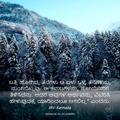 Picture 03 - ಆದಿಕಾಂಡ 41:24 KANIRV - ಬತ್ತಿ ಹೋಗಿದ್ದ - Bible Verse Picture