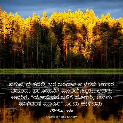 Picture 03 - ಆದಿಕಾಂಡ 41:55 KANIRV - ಐಗುಪ್ತ ದೇಶದಲ್ಲಿ - Bible Verse Picture