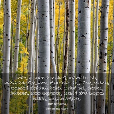 Picture 03 - ಆದಿಕಾಂಡ 41:8 KANIRV - ಬೆಳಿಗ್ಗೆ ಫರೋಹನು - Bible Verse Picture