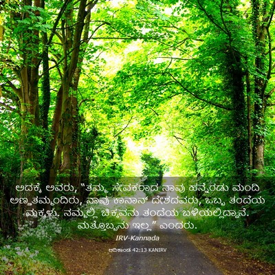 Picture 03 - ಆದಿಕಾಂಡ 42:13 KANIRV - ಅದಕ್ಕೆ ಅವರು, “ತಮ್ಮ - Bible Verse Picture