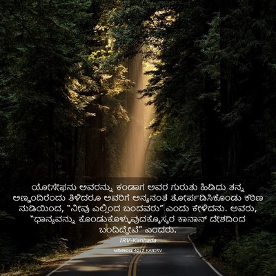 Picture 03 - ಆದಿಕಾಂಡ 42:7 KANIRV - ಯೋಸೇಫನು ಅವರನ್ನು - Bible Verse Picture
