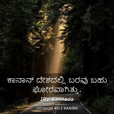 Picture 03 - ಆದಿಕಾಂಡ 43:1 KANIRV - ಕಾನಾನ್ ದೇಶದಲ್ಲಿ - Bible Verse Picture