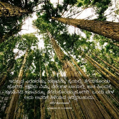 Picture 03 - ಆದಿಕಾಂಡ 43:12 KANIRV - ಇದಲ್ಲದೆ ಎರಡರಷ್ಟು - Bible Verse Picture