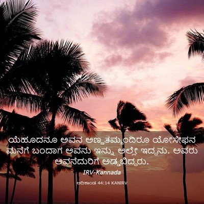 Picture 03 - ಆದಿಕಾಂಡ 44:14 KANIRV - ಯೆಹೂದನೂ ಅವನ - Bible Verse Picture