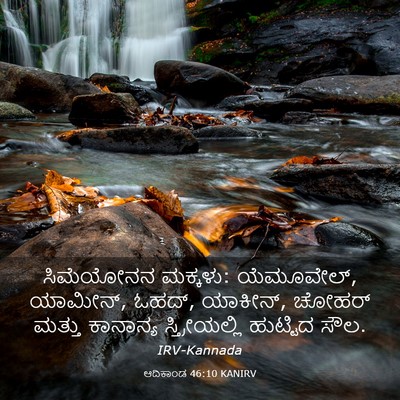 Picture 03 - ಆದಿಕಾಂಡ 46:10 KANIRV - ಸಿಮೆಯೋನನ ಮಕ್ಕಳು: - Bible Verse Picture