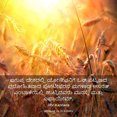 Picture 03 - ಆದಿಕಾಂಡ 46:20 KANIRV - ಐಗುಪ್ತ ದೇಶದಲ್ಲಿ - Bible Verse Picture