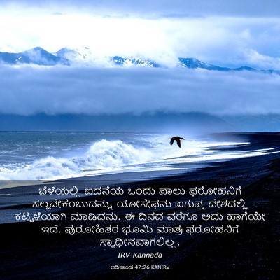 Picture 03 - ಆದಿಕಾಂಡ 47:26 KANIRV - ಬೆಳೆಯಲ್ಲಿ ಐದನೆಯ - Bible Verse Picture