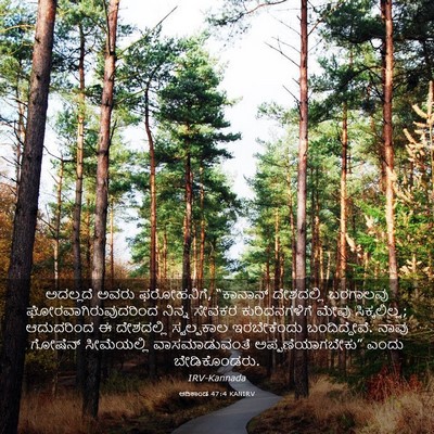 Picture 03 - ಆದಿಕಾಂಡ 47:4 KANIRV - ಅದಲ್ಲದೆ ಅವರು - Bible Verse Picture