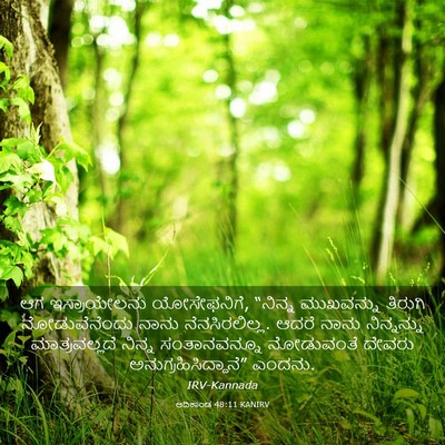 Picture 03 - ಆದಿಕಾಂಡ 48:11 KANIRV - ಆಗ ಇಸ್ರಾಯೇಲನು - Bible Verse Picture