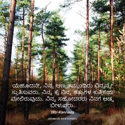 Picture 03 - ಆದಿಕಾಂಡ 49:8 KANIRV - ಯೆಹೂದನೇ, ನಿನ್ನ - Bible Verse Picture
