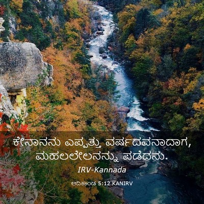 Picture 03 - ಆದಿಕಾಂಡ 5:12 KANIRV - ಕೇನಾನನು ಎಪ್ಪತ್ತು - Bible Verse Picture
