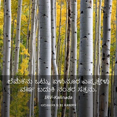 Picture 03 - ಆದಿಕಾಂಡ 5:31 KANIRV - ಲೆಮೆಕನು ಒಟ್ಟು - Bible Verse Picture