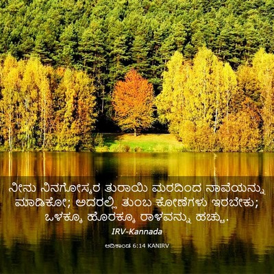 Picture 03 - ಆದಿಕಾಂಡ 6:14 KANIRV - ನೀನು ನಿನಗೋಸ್ಕರ - Bible Verse Picture