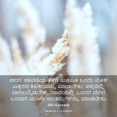 Picture 03 - ಆದಿಕಾಂಡ 6:16 KANIRV - ಅದರ ಚಾವಣಿಯ ಕೆಳಗೆ - Bible Verse Picture