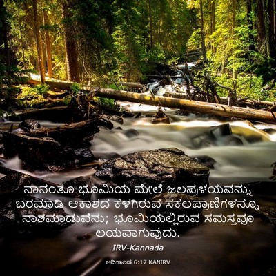 Picture 03 - ಆದಿಕಾಂಡ 6:17 KANIRV - ನಾನಂತೂ ಭೂಮಿಯ ಮೇಲೆ - Bible Verse Picture