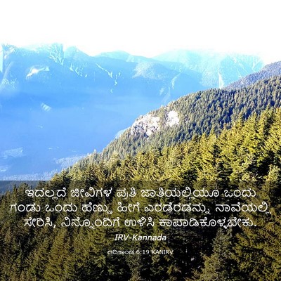 Picture 03 - ಆದಿಕಾಂಡ 6:19 KANIRV - ಇದಲ್ಲದೆ ಜೀವಿಗಳ - Bible Verse Picture