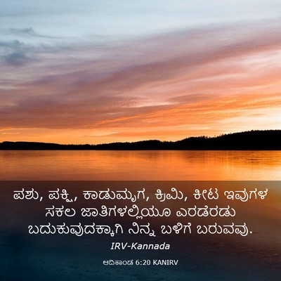 Picture 03 - ಆದಿಕಾಂಡ 6:20 KANIRV - ಪಶು, ಪಕ್ಷಿ, - Bible Verse Picture