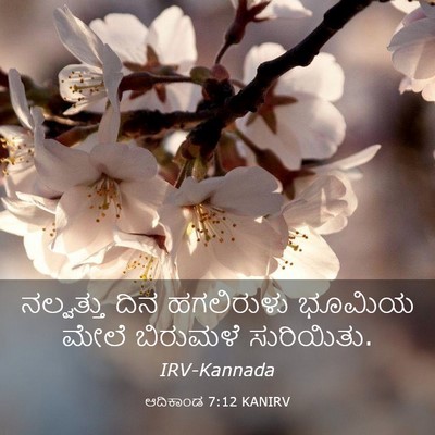 Picture 03 - ಆದಿಕಾಂಡ 7:12 KANIRV - ನಲ್ವತ್ತು ದಿನ - Bible Verse Picture