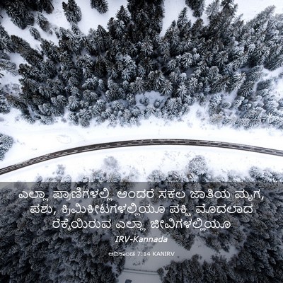 Picture 03 - ಆದಿಕಾಂಡ 7:14 KANIRV - ಎಲ್ಲಾ - Bible Verse Picture