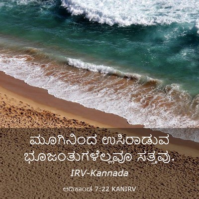 Picture 03 - ಆದಿಕಾಂಡ 7:22 KANIRV - ಮೂಗಿನಿಂದ ಉಸಿರಾಡುವ - Bible Verse Picture