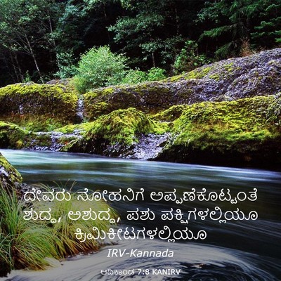 Picture 03 - ಆದಿಕಾಂಡ 7:8 KANIRV - ದೇವರು ನೋಹನಿಗೆ - Bible Verse Picture