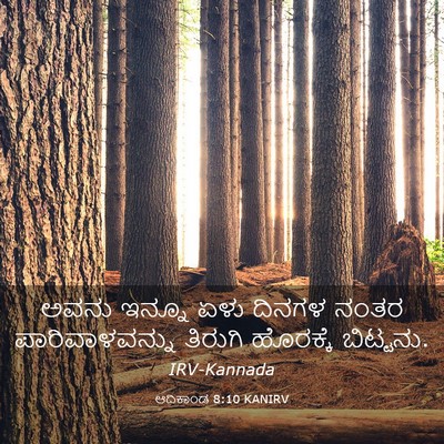 Picture 03 - ಆದಿಕಾಂಡ 8:10 KANIRV - ಅವನು ಇನ್ನೂ ಏಳು - Bible Verse Picture
