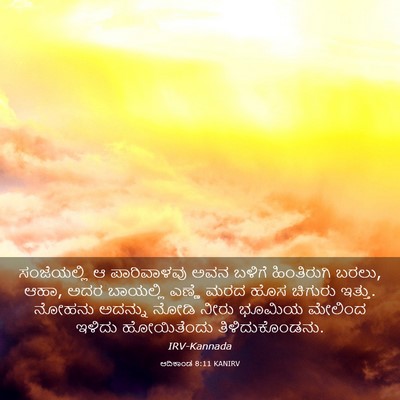 Picture 03 - ಆದಿಕಾಂಡ 8:11 KANIRV - ಸಂಜೆಯಲ್ಲಿ ಆ - Bible Verse Picture