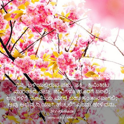 Picture 03 - ಆದಿಕಾಂಡ 8:17 KANIRV - ನಿನ್ನ ಬಳಿಯಲ್ಲಿರುವ - Bible Verse Picture