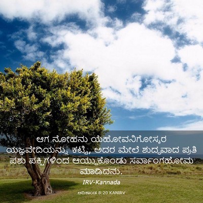 Picture 03 - ಆದಿಕಾಂಡ 8:20 KANIRV - ಆಗ ನೋಹನು - Bible Verse Picture