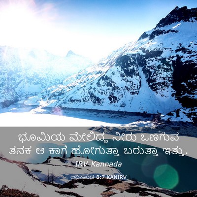 Picture 03 - ಆದಿಕಾಂಡ 8:7 KANIRV - ಭೂಮಿಯ ಮೇಲಿದ್ದ - Bible Verse Picture
