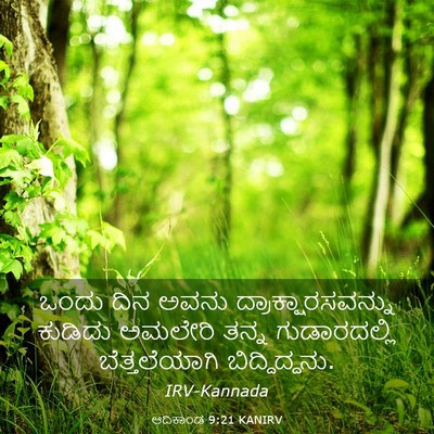 Picture 03 - ಆದಿಕಾಂಡ 9:21 KANIRV - ಒಂದು ದಿನ ಅವನು - Bible Verse Picture