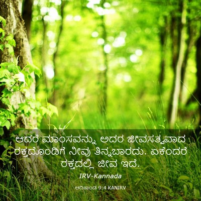 Picture 03 - ಆದಿಕಾಂಡ 9:4 KANIRV - ಆದರೆ ಮಾಂಸವನ್ನು - Bible Verse Picture