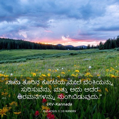 Picture 03 - ಆಮೋಸನು 1:10 KANIRV - ನಾನು ತೂರಿನ ಕೋಟೆಯ - Bible Verse Picture