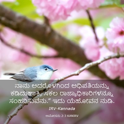 Picture 03 - ಆಮೋಸನು 2:3 KANIRV - ನಾನು ಅದರೊಳಗಿಂದ - Bible Verse Picture