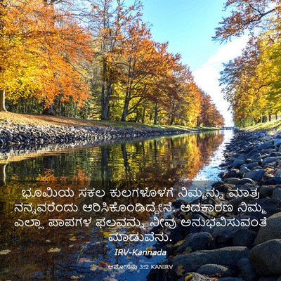 Picture 03 - ಆಮೋಸನು 3:2 KANIRV - ಭೂಮಿಯ ಸಕಲ - Bible Verse Picture