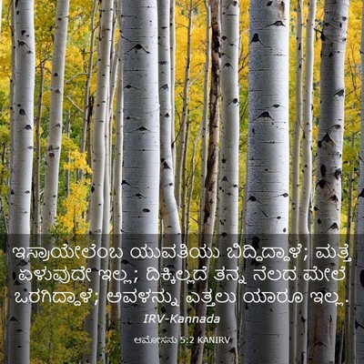 Picture 03 - ಆಮೋಸನು 5:2 KANIRV - ಇಸ್ರಾಯೇಲೆಂಬ - Bible Verse Picture