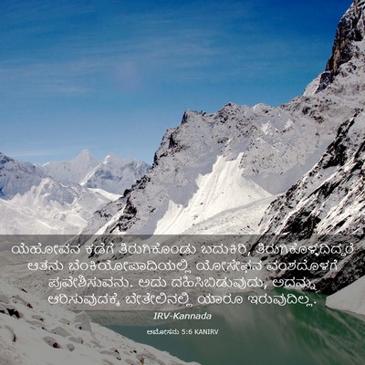 Picture 03 - ಆಮೋಸನು 5:6 KANIRV - ಯೆಹೋವನ ಕಡೆಗೆ - Bible Verse Picture