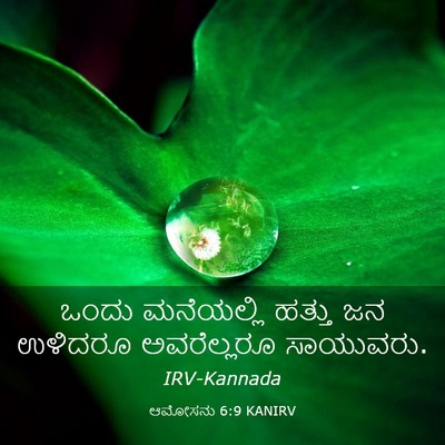 Picture 03 - ಆಮೋಸನು 6:9 KANIRV - ಒಂದು ಮನೆಯಲ್ಲಿ - Bible Verse Picture