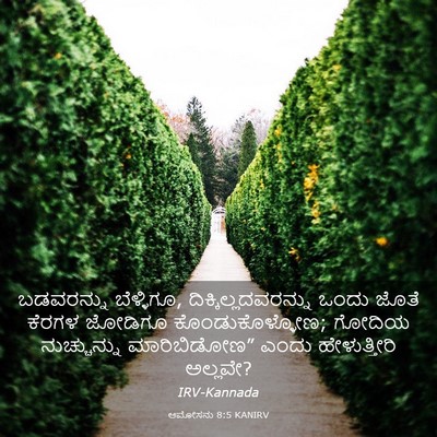 Picture 03 - ಆಮೋಸನು 8:5 KANIRV - ಬಡವರನ್ನು - Bible Verse Picture