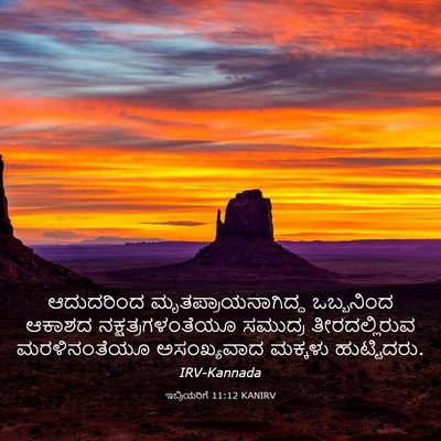 Picture 03 - ಇಬ್ರಿಯರಿಗೆ 11:12 KANIRV - ಆದುದರಿಂದ - Bible Verse Picture