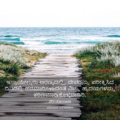 Picture 03 - ಇಬ್ರಿಯರಿಗೆ 3:8 KANIRV - ಇಸ್ರಾಯೇಲ್ಯರು - Bible Verse Picture