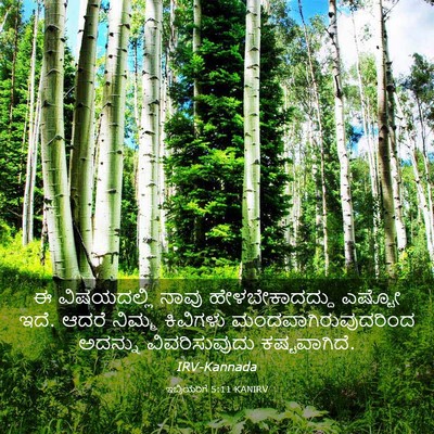Picture 03 - ಇಬ್ರಿಯರಿಗೆ 5:11 KANIRV - ಈ ವಿಷಯದಲ್ಲಿ ನಾವು - Bible Verse Picture