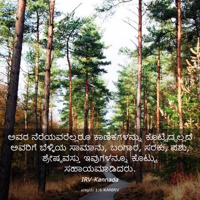 Picture 03 - ಎಜ್ರನು 1:6 KANIRV - ಅವರ ನೆರೆಯವರೆಲ್ಲರೂ - Bible Verse Picture