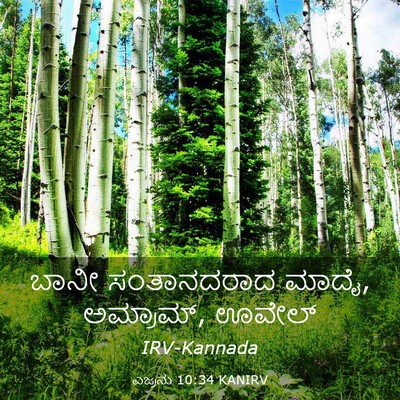 Picture 03 - ಎಜ್ರನು 10:34 KANIRV - ಬಾನೀ ಸಂತಾನದರಾದ - Bible Verse Picture