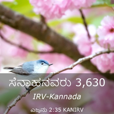 Picture 03 - ಎಜ್ರನು 2:35 KANIRV - ಸೆನಾಹನವರು - Bible Verse Picture