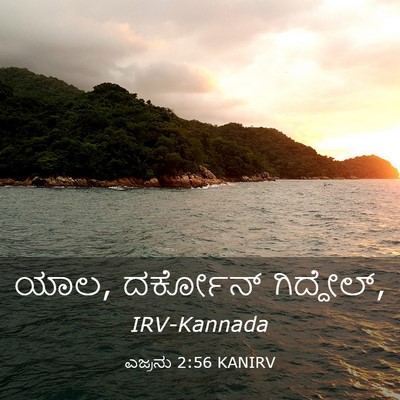 Picture 03 - ಎಜ್ರನು 2:56 KANIRV - ಯಾಲ, ದರ್ಕೋನ್ - Bible Verse Picture